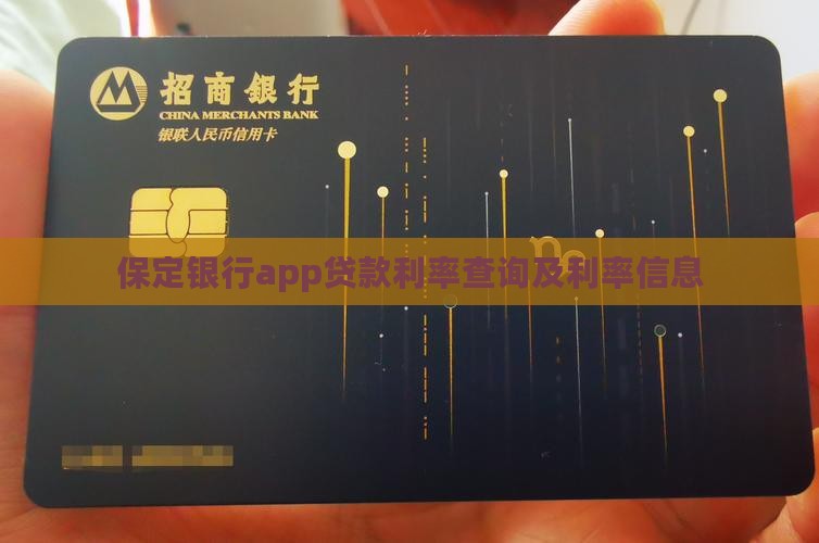 保定银行app贷款利率