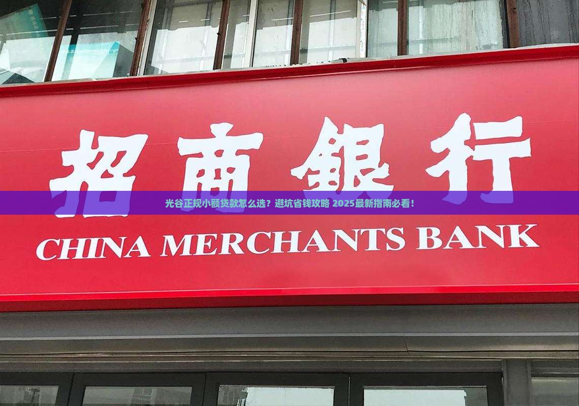 光谷正规小额贷款