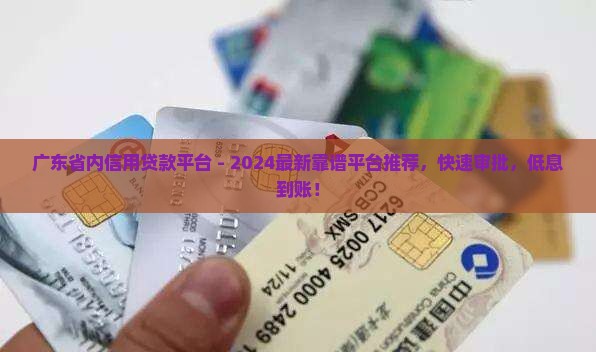 广东省内信用贷款平台