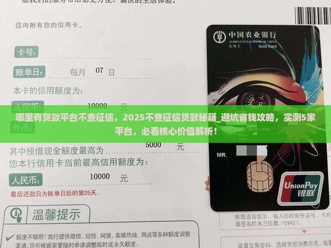 哪里有贷款平台不查征信