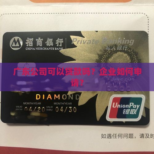 在广东开公司可以贷款吗 在广东开公司可以贷款吗