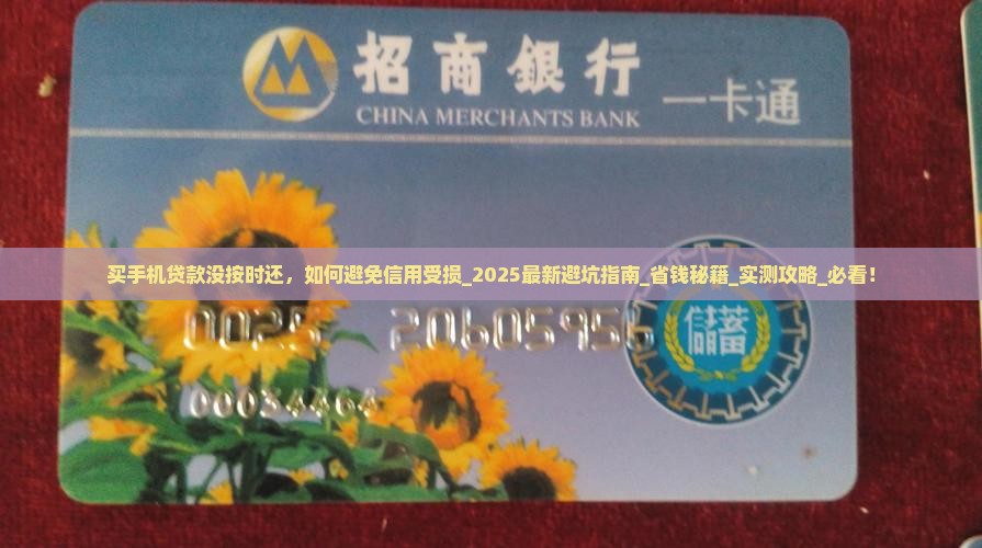 买手机贷款没按时还