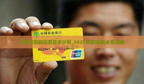 公司贷款的额度是多少啊