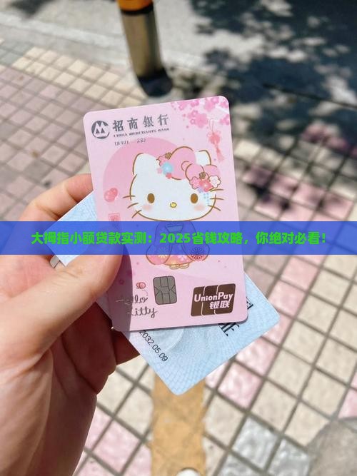 大拇指小额贷款