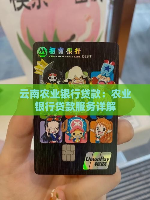 云南农业银行的贷款
