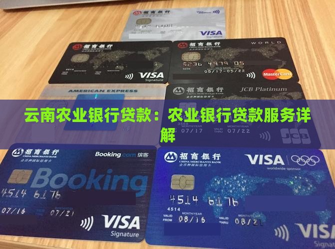 云南农业银行的贷款