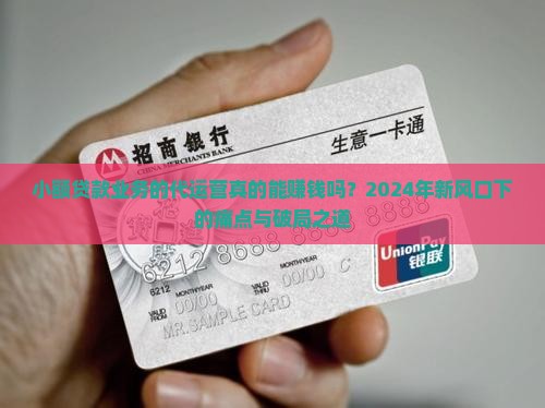 小额贷款业务的代运营