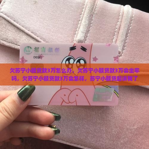 欠苏宁小额贷款3万