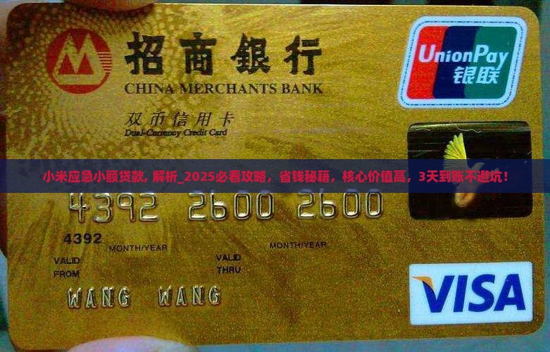 小米应急小额贷款