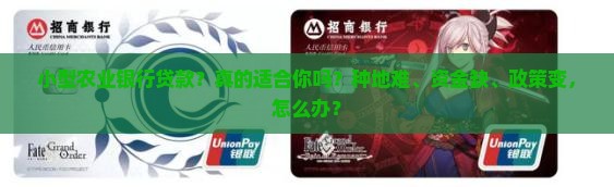 小型农业银行贷款
