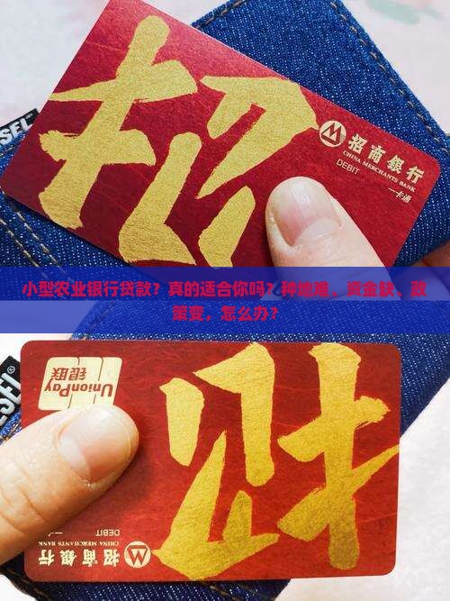 小型农业银行贷款