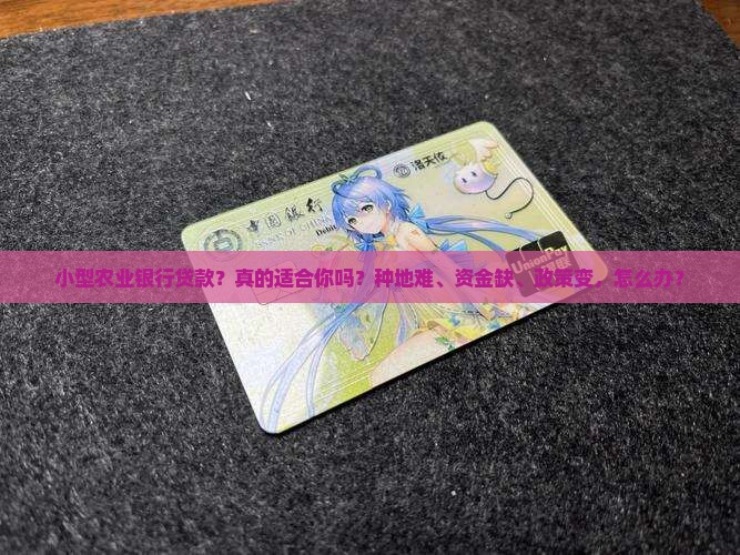 小型农业银行贷款