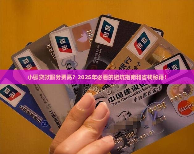 小额贷款服务费高怎么办