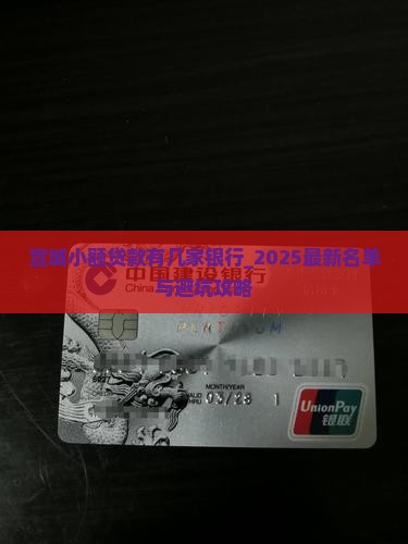 宣城小额贷款有几家银行