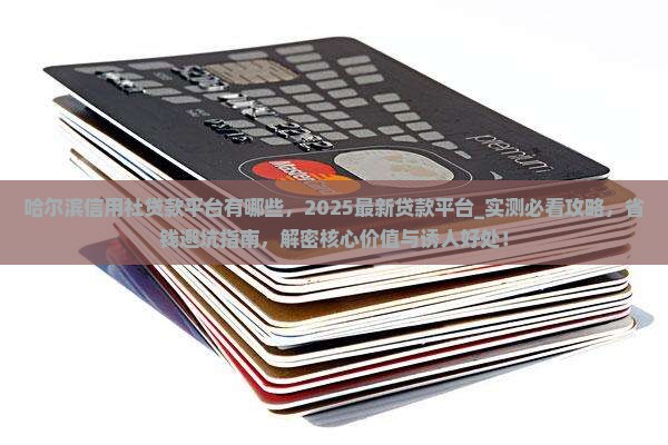 哈尔滨信用社贷款平台有哪些