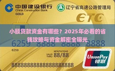 小额贷款资金有哪些