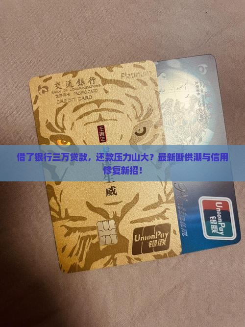 借了银行三万贷款