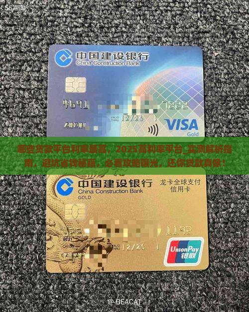 哪些贷款平台利率最高