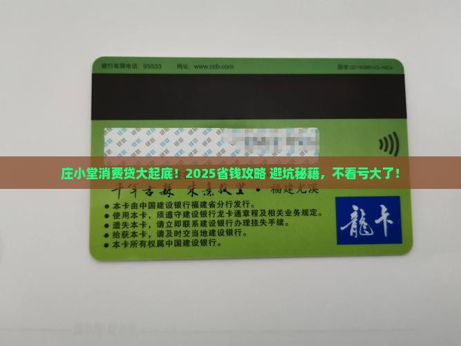 庄小堂消费类贷款一案
