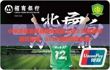 小米贷款逾期后会怎么样