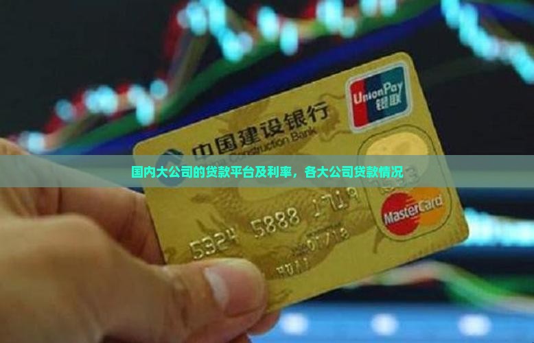 国内大公司的贷款