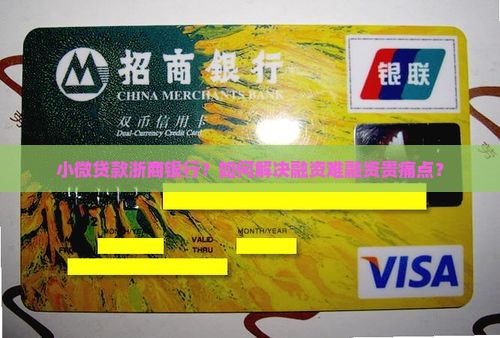 小微贷款浙商银行