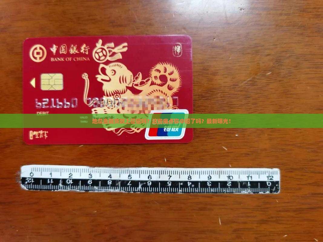 地瓜金融贷款上征信吗