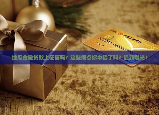地瓜金融贷款上征信吗