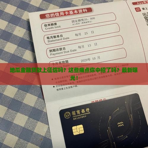 地瓜金融贷款上征信吗