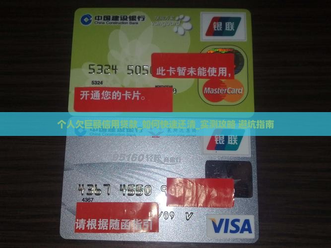 个人欠巨额信用贷款
