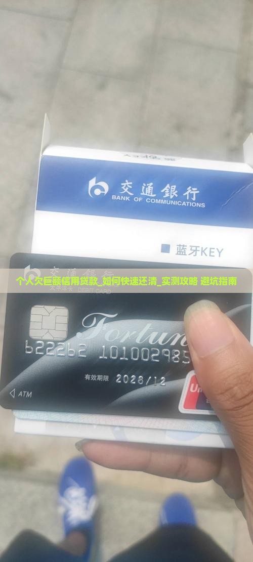 个人欠巨额信用贷款