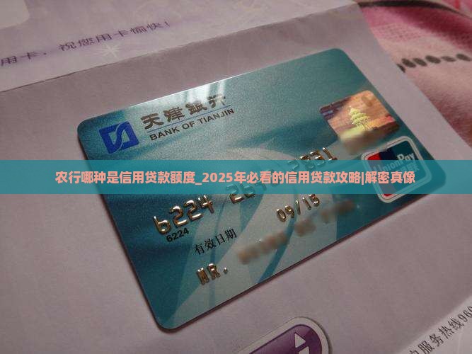 农行哪种是信用贷款额度