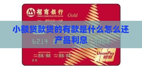 小额贷款贷的有款