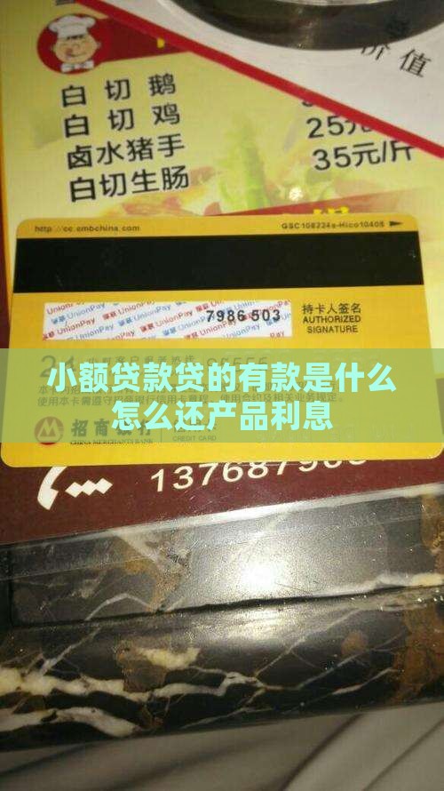 小额贷款贷的有款