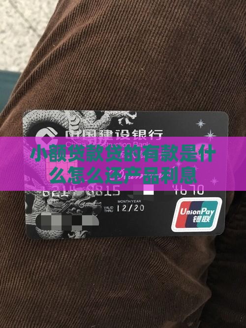 小额贷款贷的有款