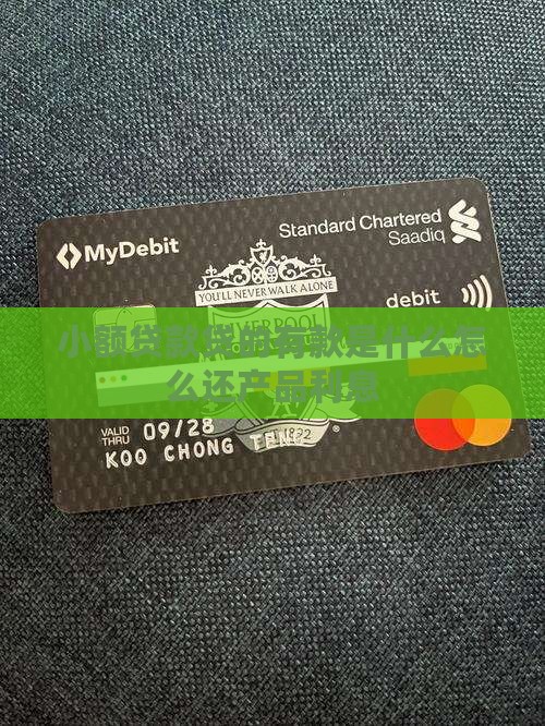 小额贷款贷的有款
