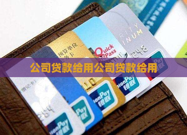 公司贷款给法人用