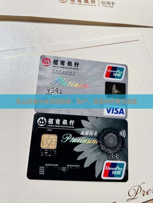 怎么挖单小米贷款