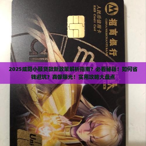 咸阳小额贷款新政策 咸阳小额贷款新政策