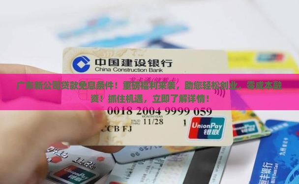 广东新公司贷款免息条件