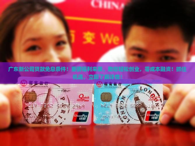 广东新公司贷款免息条件