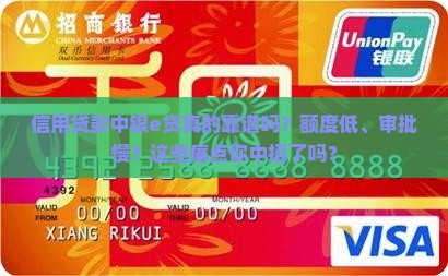 信用贷款中银e贷