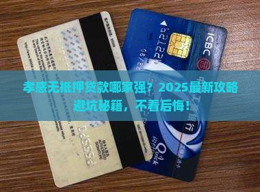孝感做无抵押贷款的公司