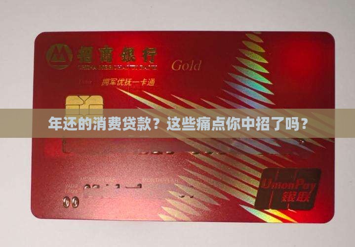 年还的消费贷款