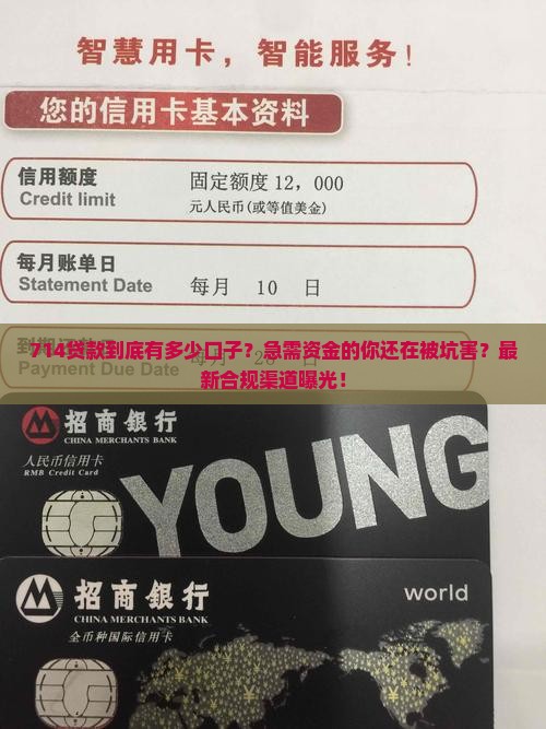 714贷款有多少口子