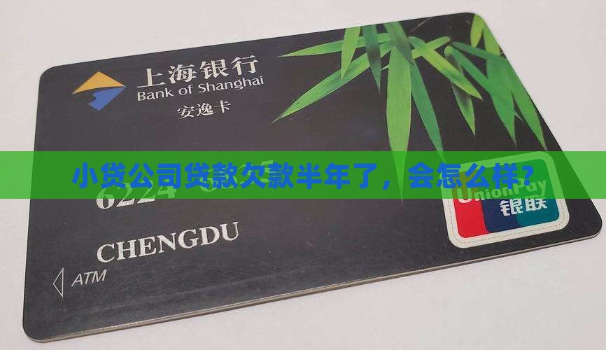 小贷公司贷款欠款半年了