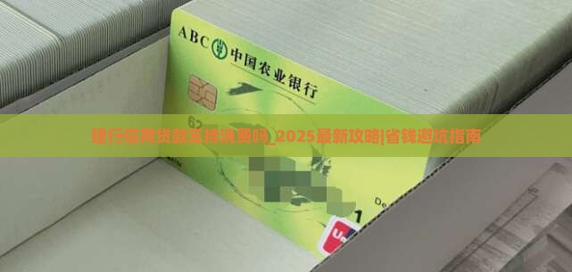 建行信用贷款支持消费吗