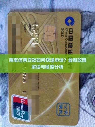两笔信用贷款
