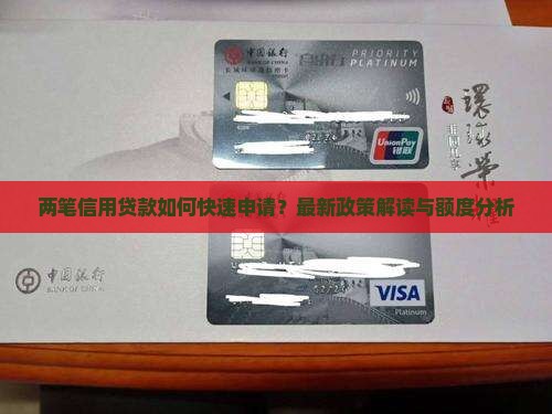 两笔信用贷款