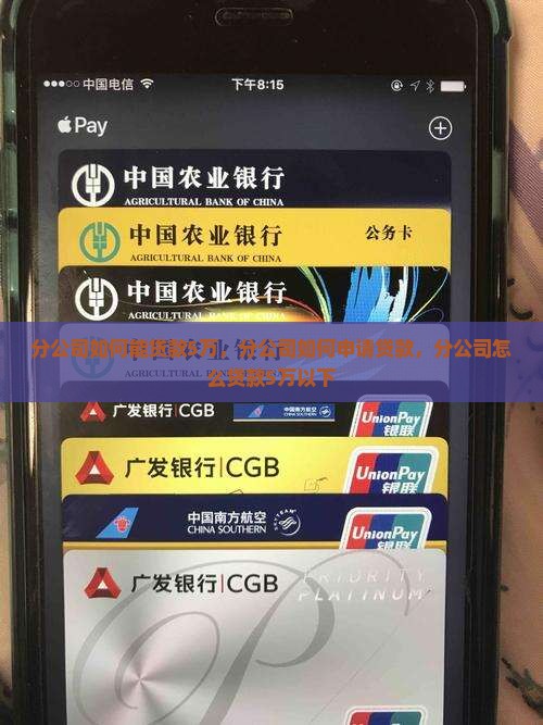 分公司如何能贷款5万